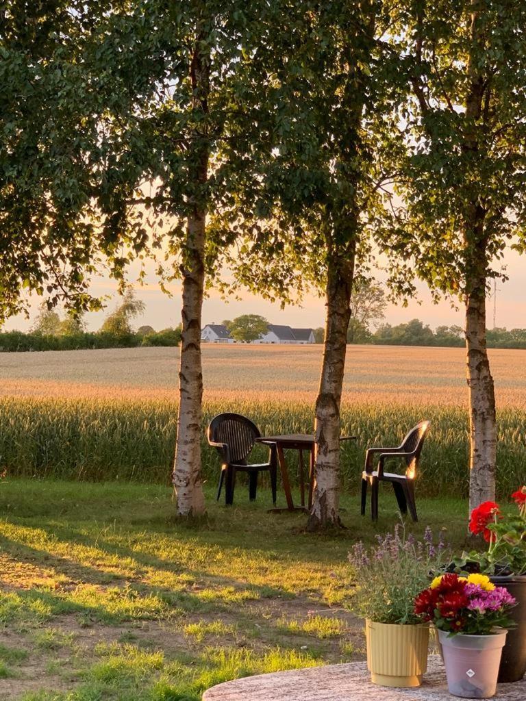 Idestrup Romantik Luxus Glamping 2 מראה חיצוני תמונה