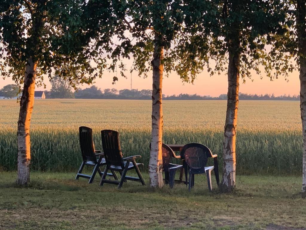 Idestrup Romantik Luxus Glamping 2 מראה חיצוני תמונה